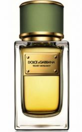 Dolce Gabbana Velvet Collection Bergamot New Men